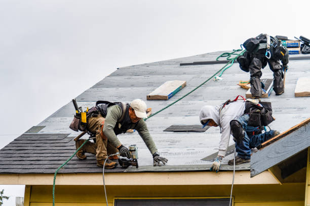 Professional Storm Damage Roof Repair technician working in Larimore, ND